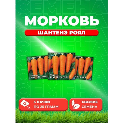Морковь Шантенэ Роял 25,0 г (3уп)