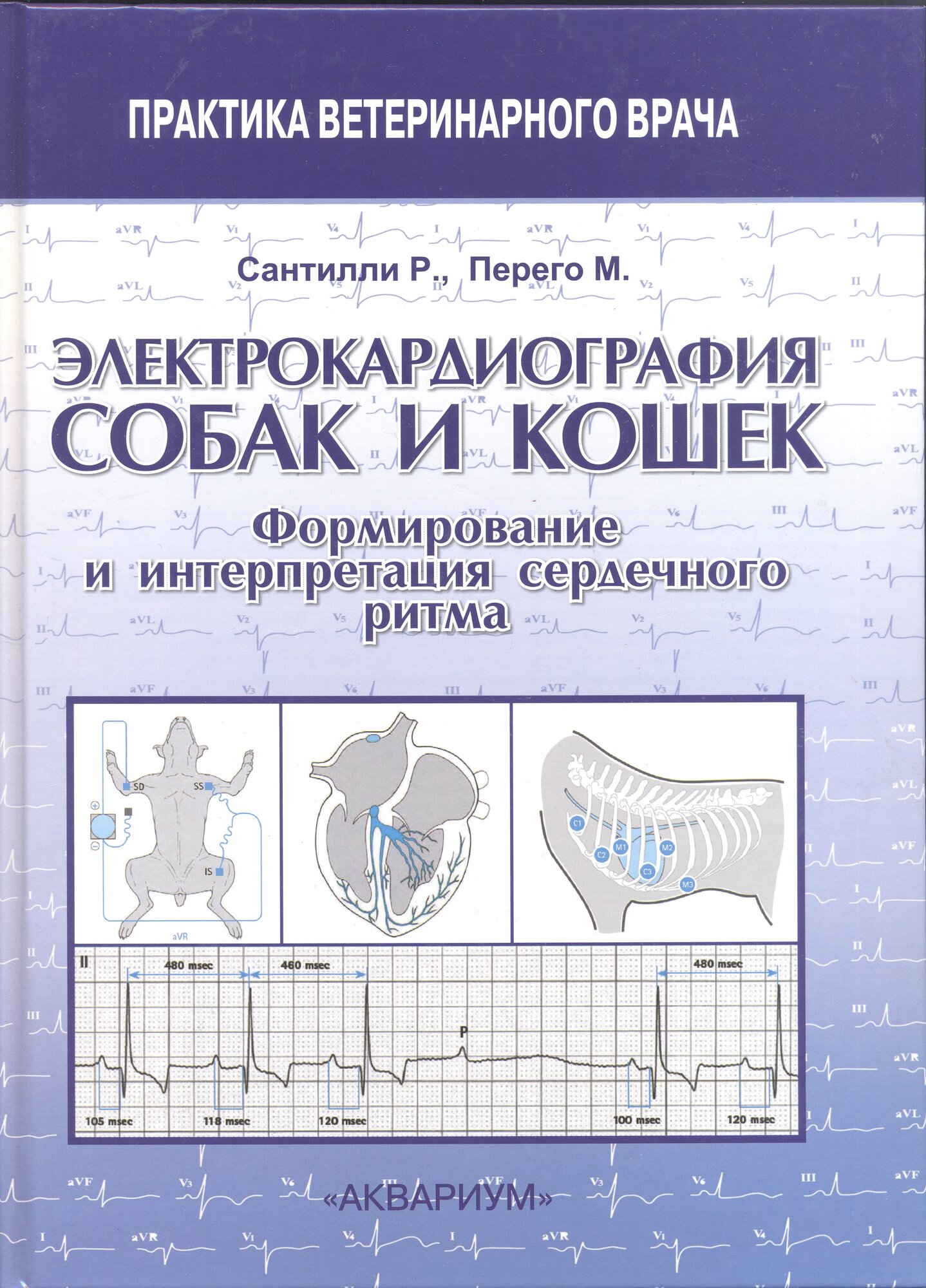 Электрокардиография собак и кошек. Формирование и интерпретация сердечного ритма