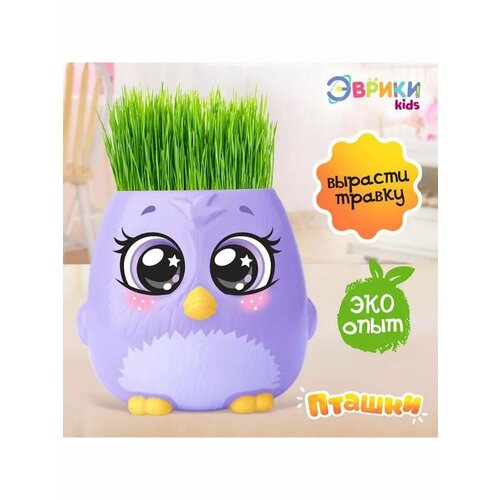 Набор для опытов выращиваем траву в горшочке Пташки 607₽