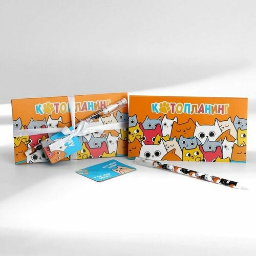 Подарочный набор Котопланинг планинг и ручка 549₽