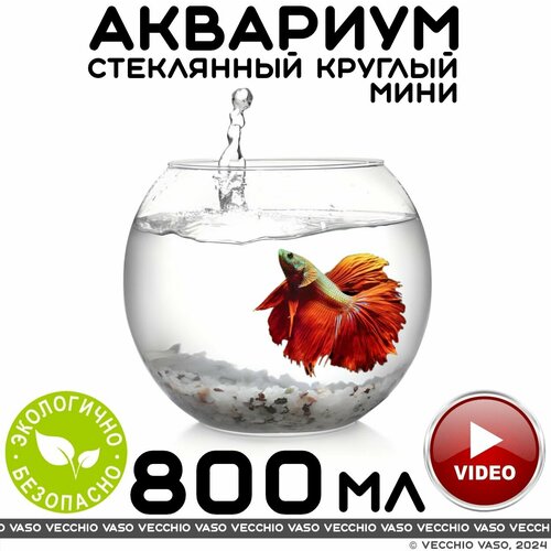 Аквариум vecchio vaso шар круглый стеклянный для рыбок маленький 800 мл