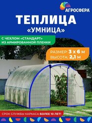 Теплица "Агросфера-Умница" 3 х 6 м с чехлом "Стандарт" из армированной пленки 200 мкм