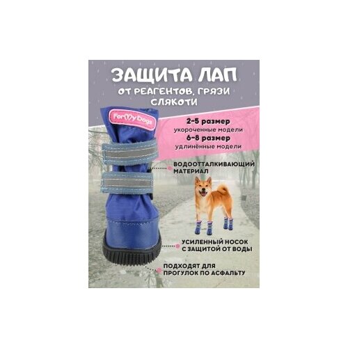 For my dogs Сапоги с усиленным носком РП синий р.4 для собак
