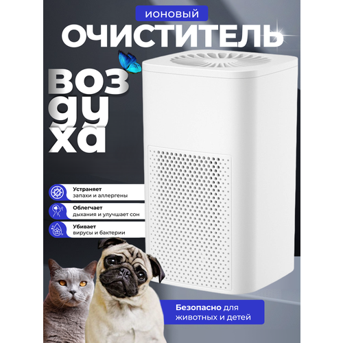 Очеститель воздуха 300000₽