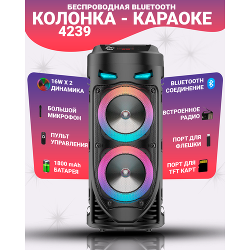 Беспроводная портативная колонка 4239 с Bluetooth ,2 динамика, микрофон, караоке, USB, AUX, micro SD черный