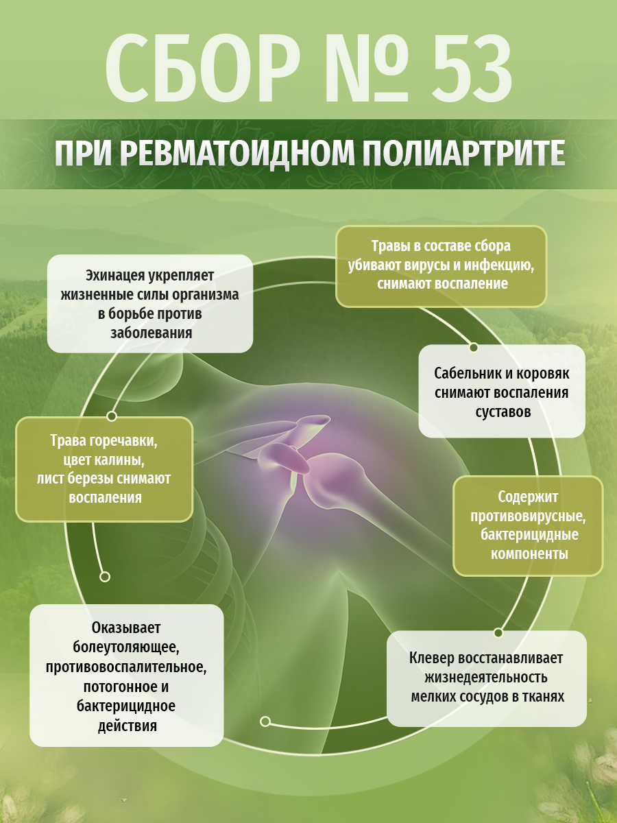 Картинки Травы Кавказа травяной сбор № 53 При ревматоидном полиартрите