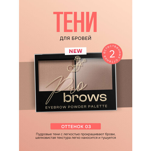 Тени для бровей FFleur Pro Brows палетка 2 тон 03 12г 390₽