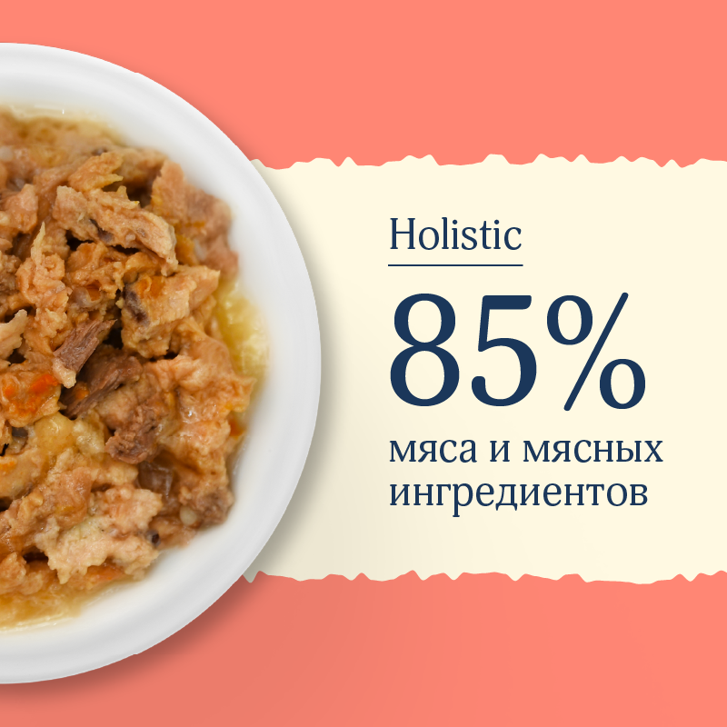 AVANCE holistic Консервы для взрослых собак и щенков с индейкой и уткой, Natural&Healthy Turkey&Duck, Влажный корм, 100 гр — фото 1