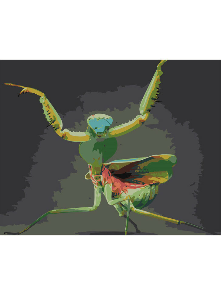 Картина по номерам "Богомол" — фото 1