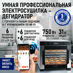 Электросушилка Sting Ray ST-FD704A, конвекционная, 750Вт, 8 поддонов