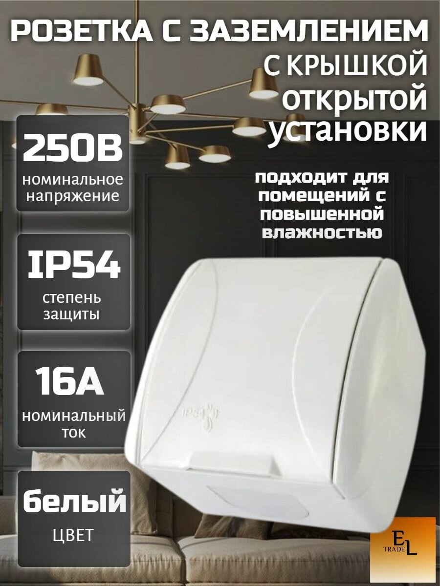 Розетка открытой установки с крышкой белая (2П, с заземлением, 16А, IP54, Селигер)