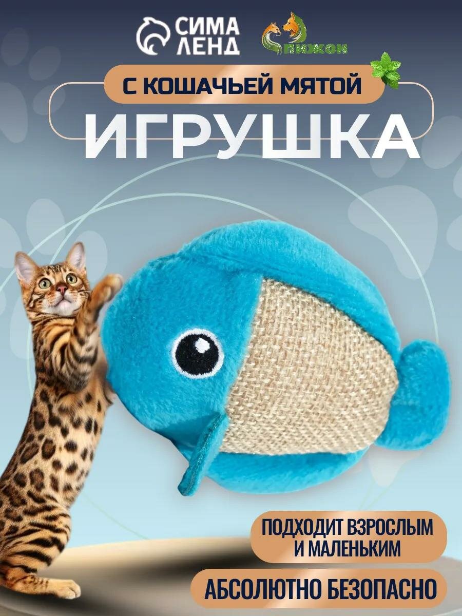 Игрушка Пижон "Рыбка", для кошек, с кошачьей мятой, мягкая, голубой