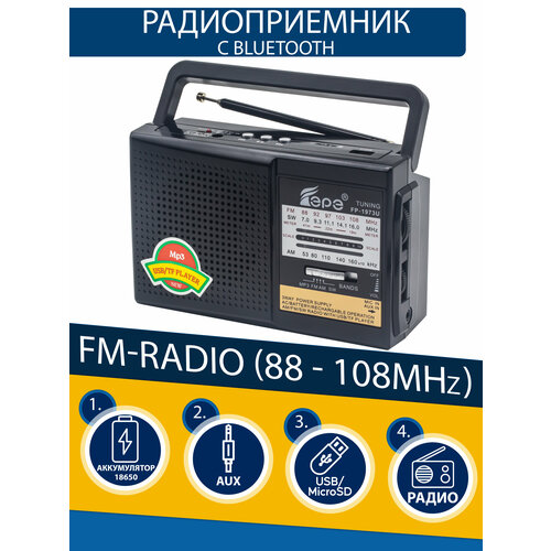 Радиоприемник EPE FP-1973U black радиоприемник fepe fp 8001bt р п usb bluetooth