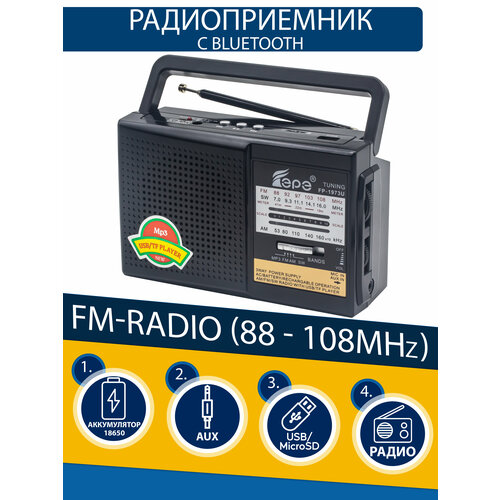 Радиоприемник EPE FP-1973U black 131800₽