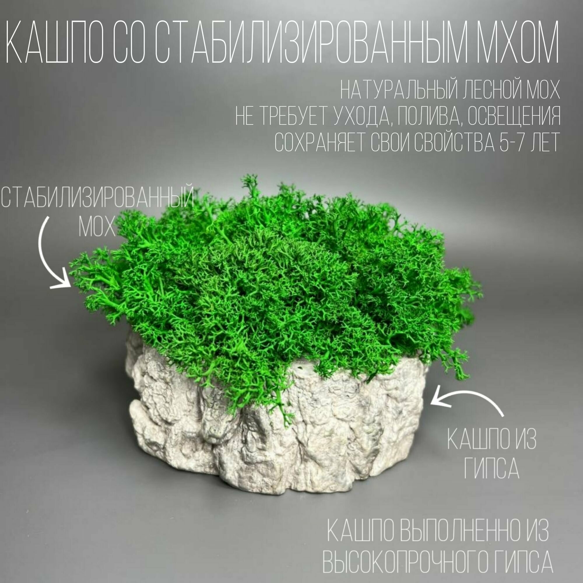 Декор для интерьера/A-lux/Кашпо со стабилизированным мхом/Ручная работа