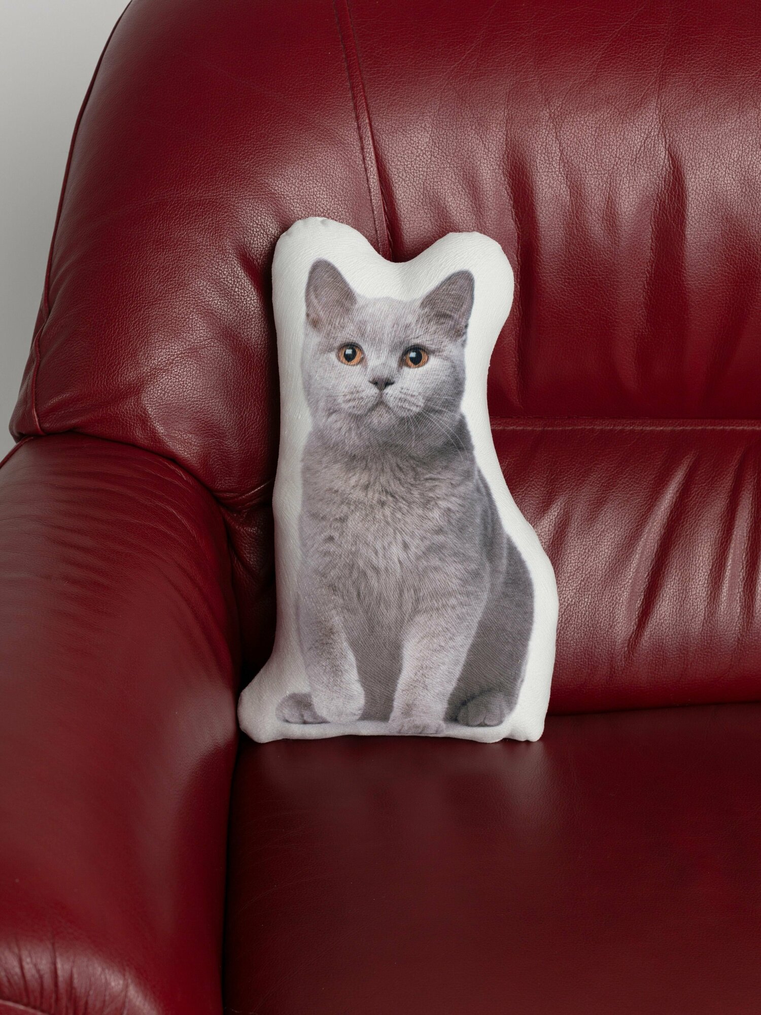 Подушка Британский кот - фотография № 4