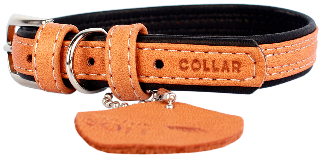 Ошейник COLLAR Soft для собак с QR паспортом (ширина 15мм, длина 27-36см)