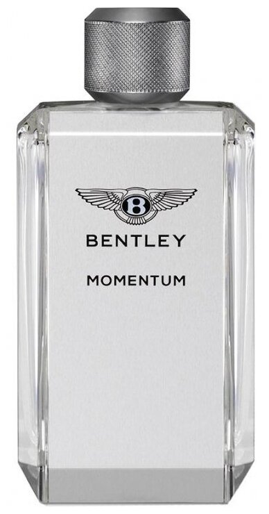 Туалетная вода Bentley Momentum 100 мл.