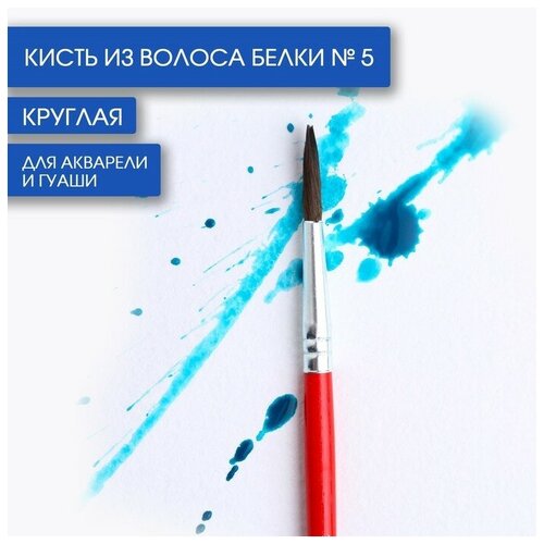 Кисть из волоса белки круглая № 5, (Короткая ручка) 10 шт