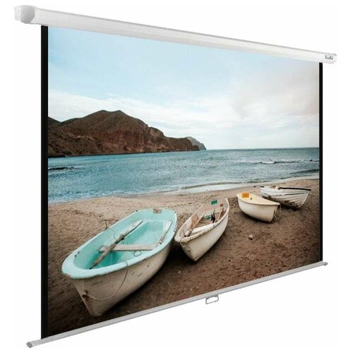 Рулонный матовый белый экран cactus WallExpert CS-PSWE-220x138-WT, 103, белый