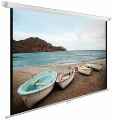 Рулонный матовый белый экран cactus WallExpert CS-PSWE-220x138-WT