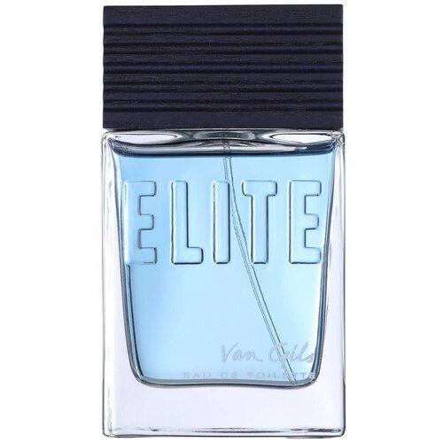 Van Gils туалетная вода Elite, 100 мл
