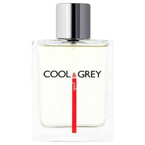 Dilis Parfum туалетная вода Cool&Grey, 100 мл dilis parfum virtual sense туалетная вода 100 мл для женщин