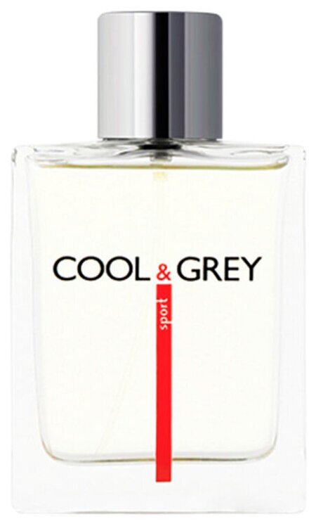 Dilis Parfum Мужской La Vie Cool & Grey Sport Туалетная вода (edt) 100мл