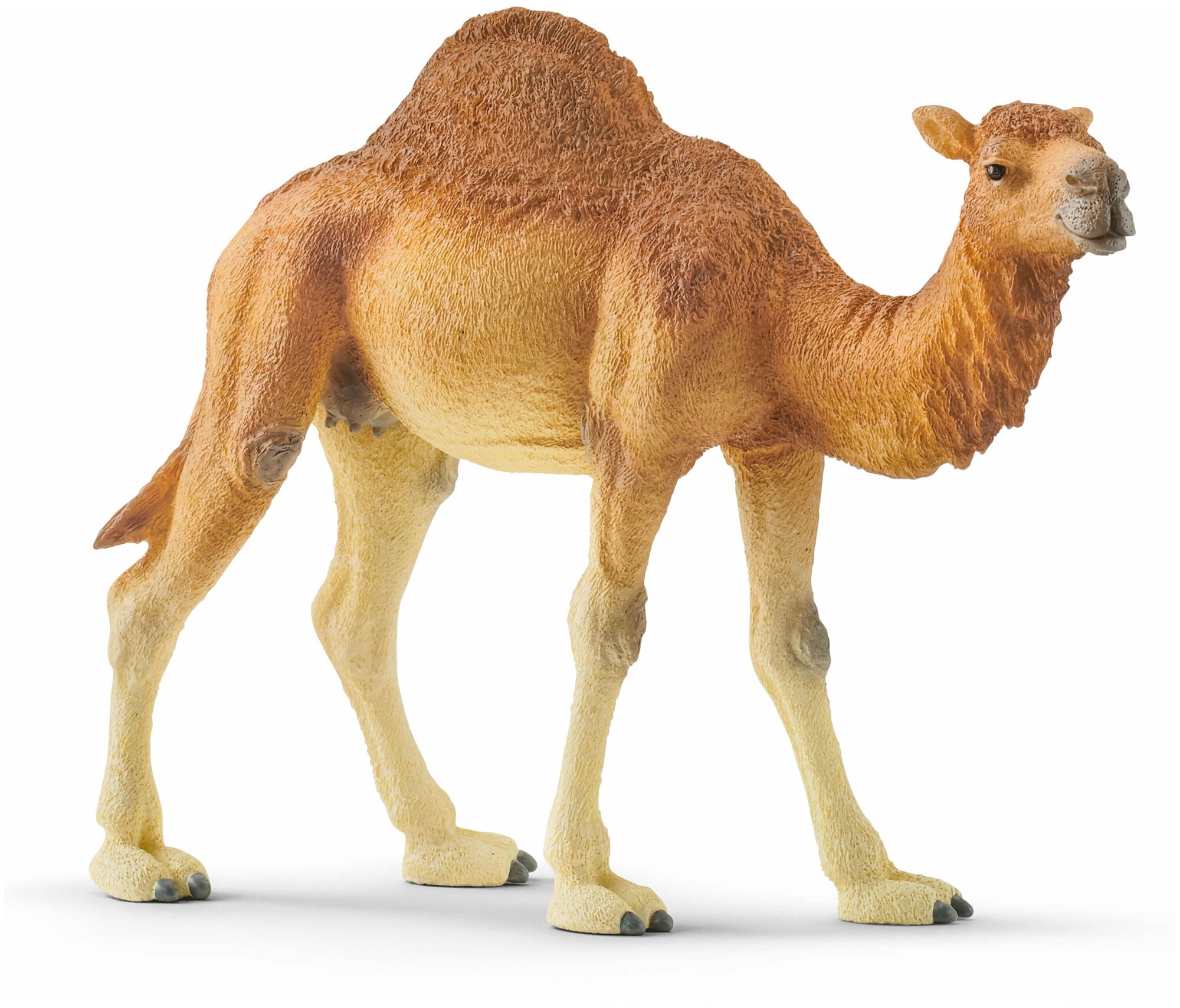 Фигурка Schleich Дромадер (Одногорбый верблюд) 14832, 10 см