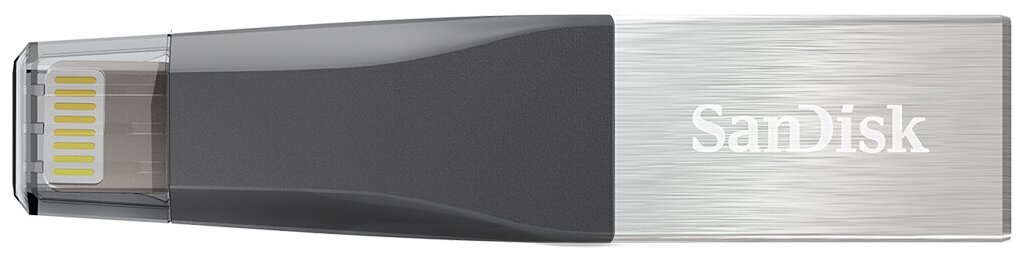 Флешка Sandisk iXpand Mini Flash Drive 128 GB SDIX90N-128G-GN6NE