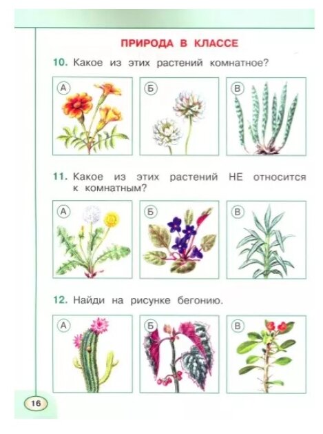 Плешаков. Окружающий мир. Тесты. 1 класс /Перспектива - фото №2