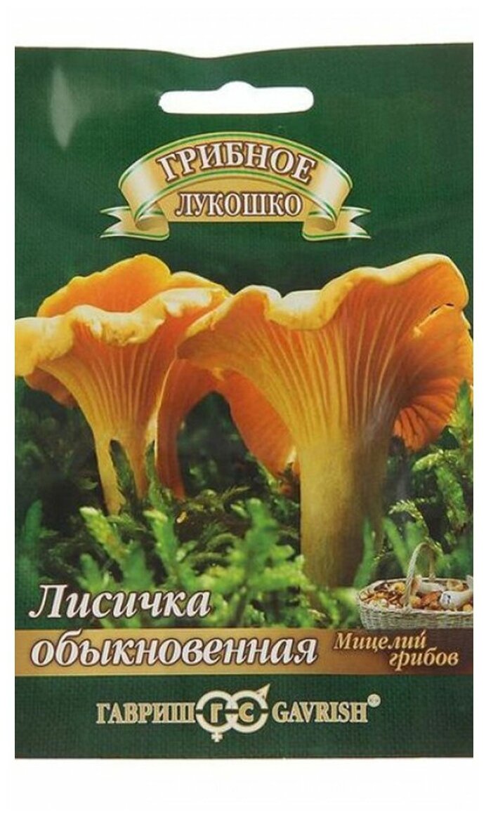 Мицелий грибов Гавриш Грибное лукошко Лисички на зерновом субстрате 15 мл