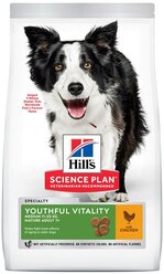 Сухой корм для пожилых собак Hill's Science Plan Senior Vitality курица, с рисом 2 шт. х 800 г (для средних пород)