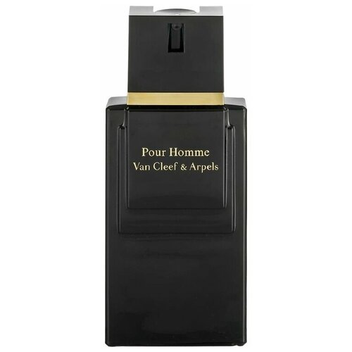 Van Cleef & Arpels Pour Homme туалетная вода 100 мл