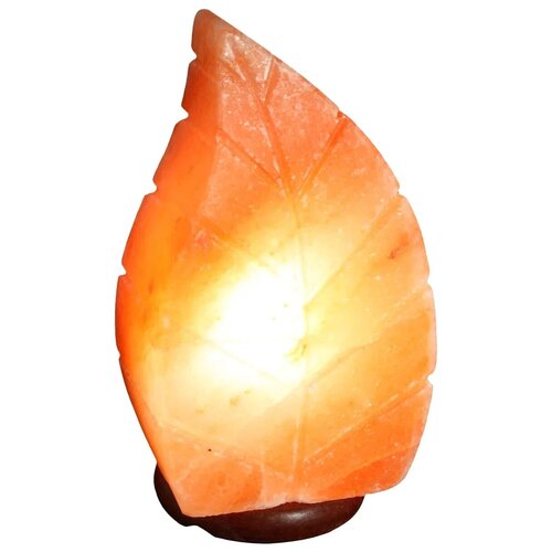 фото Солевая лампа эко плюс лист e14, 15 вт, цвет арматуры: коричневый, цвет плафона: оранжевый
