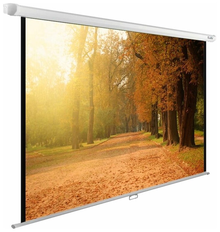 Экран Cactus 125x200см WallExpert CS-PSWE-200x125-WT 16:10 настенно-потолочный рулонный