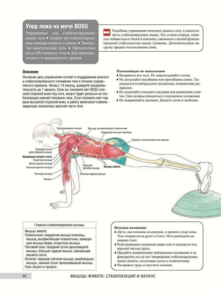 Анатомия фитнеса и силовых упражнений для женщин - фото №9