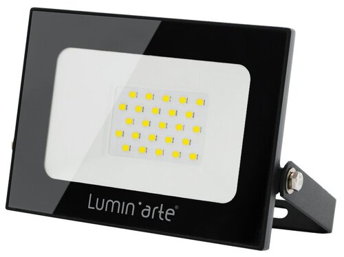 Прожектор LuminArte LFL-20W/05, 20 Вт, свет: холодный белый