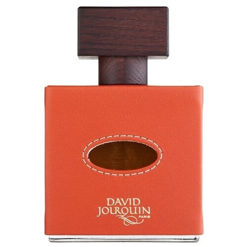 David Jourquin парфюмерная вода Vendôme Collection Cuir Mandarine, 100 мл david jourquin парфюмерная вода opera collection cuir venitien 100 мл