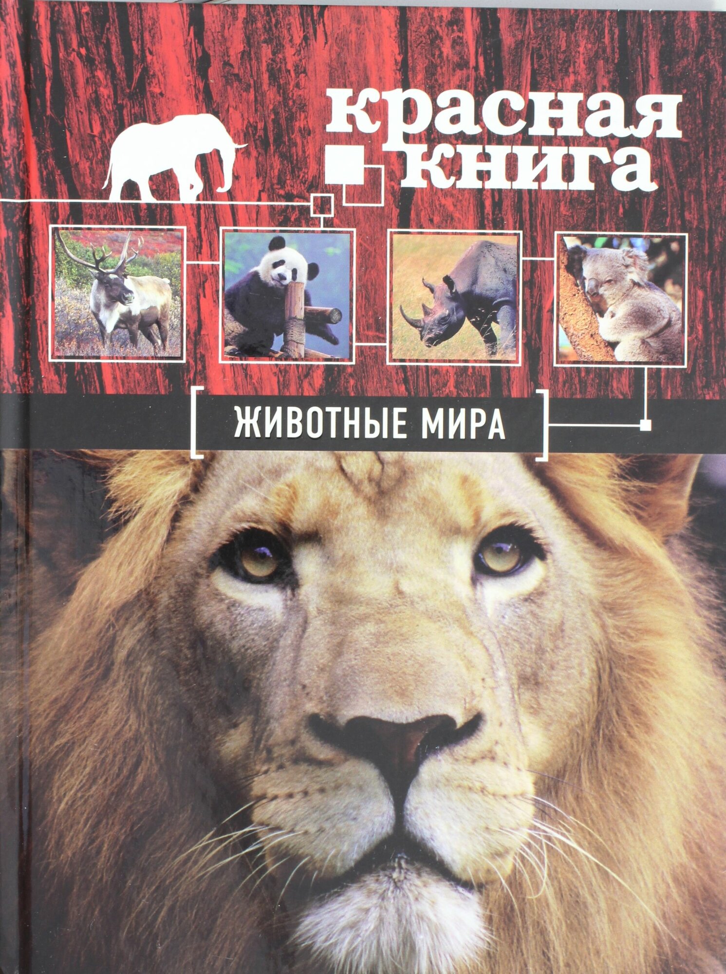 Красная книга. Животные мира