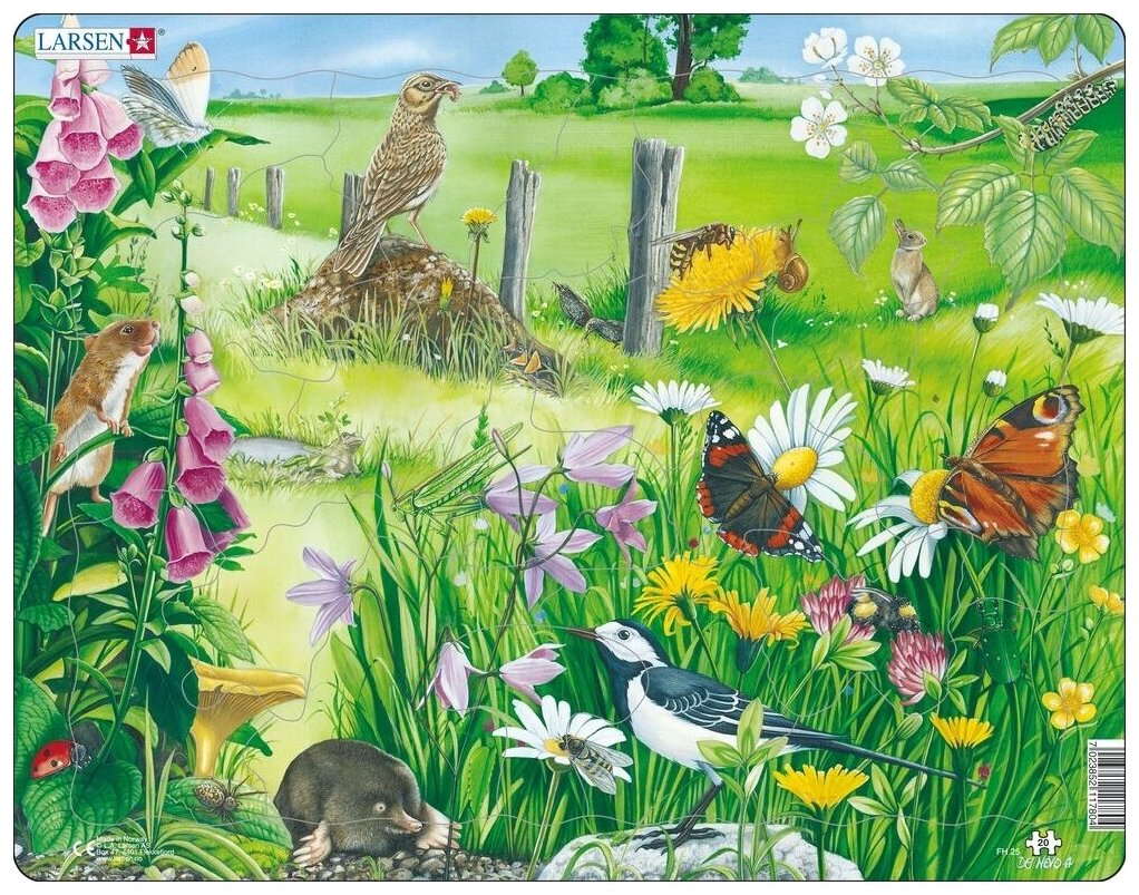 FH25 - Природа