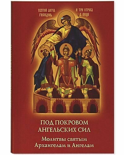 Книга Под покровом ангельских Сил - фото №11