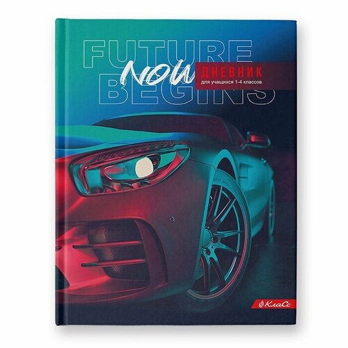 Дневник школьный ВКФ 1-4 класс, металлизация, твердый переплет 