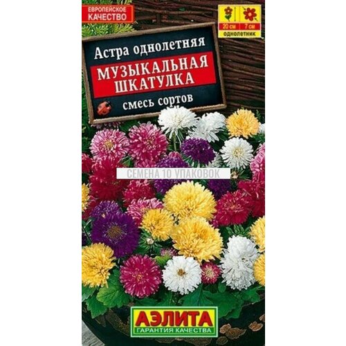 Семена 10 упаковок! Астра Музыкальная шкатулка 0,2г Одн смесь 20см (Аэлита)