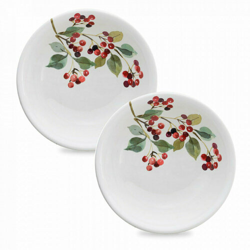 Набор из 2-х суповых тарелок, 21 см, керамика, белый, декор 9120/3-2ATN Autunno