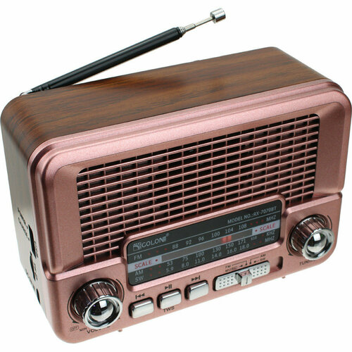 Радио RX-7070BT Golone USBSDmicroSD ACC 155000₽