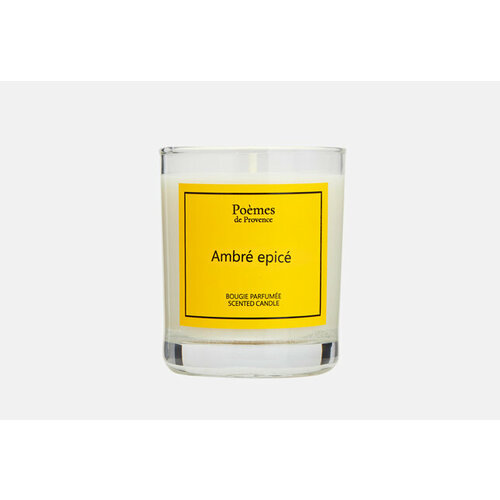 Ароматическая свеча AMBRE EPICE 2265₽