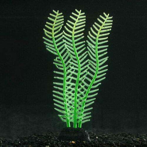Растение силиконовое аквариумное, светящееся в темноте, 4.5 x 15 см, зелёное