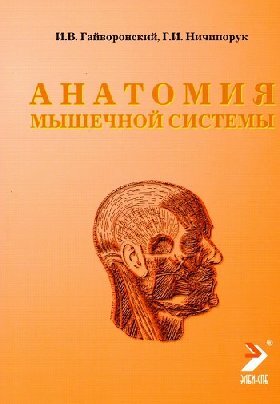 Гайворонский И. В. "Анатомия мышечной системы: учебное пособие ( мышцы фасции топография)"