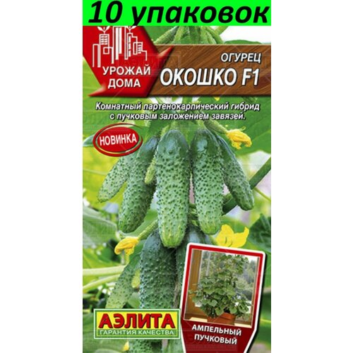 Огурец окошко фото Tips for planting and growing cucumbers with Kate Renner YouTube